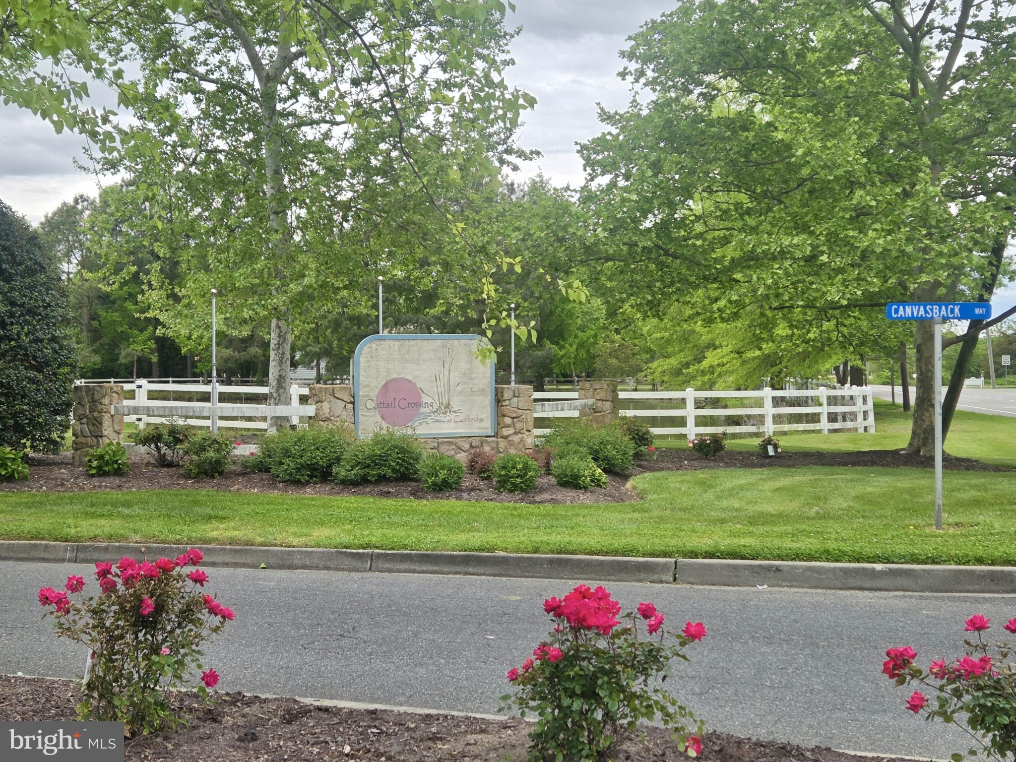 CATTAIL CROSSING - Land