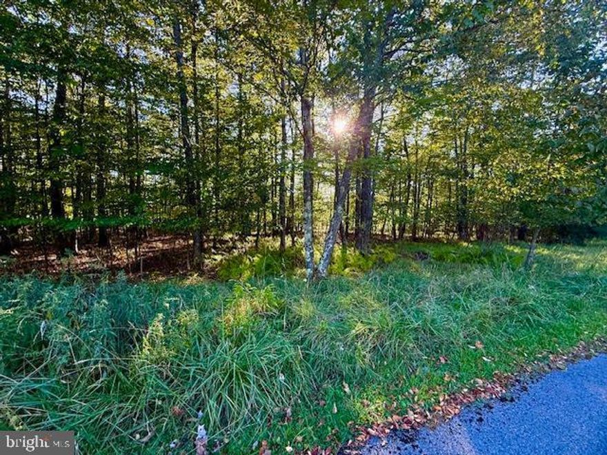 Situated on the 6th hole of Lodestone golf course, at the top of Wisp Mountain, this lot is ready to build with underground propane, public water & sewer available. Nice level lot surrounded by trees & just a short walk to Wisp slops & Whitewater rafting.  Lodestone & Fantasy Valley Golf courses, Deep Cree Lake, Wisp 
Ski Resort , shopping & restaurants just mins away! True vacation lovers' paradise!