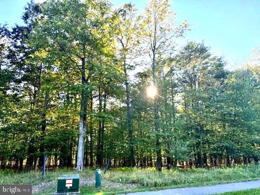 Situated on the 6th hole of Lodestone golf course, at the top of Wisp Mountain, this lot is ready to build with underground propane, public water & sewer available. Nice level lot surrounded by trees & just a short walk to Wisp slops & Whitewater rafting.  Lodestone & Fantasy Valley Golf courses, Deep Cree Lake, Wisp 
Ski Resort , shopping & restaurants just mins away! True vacation lovers' paradise!