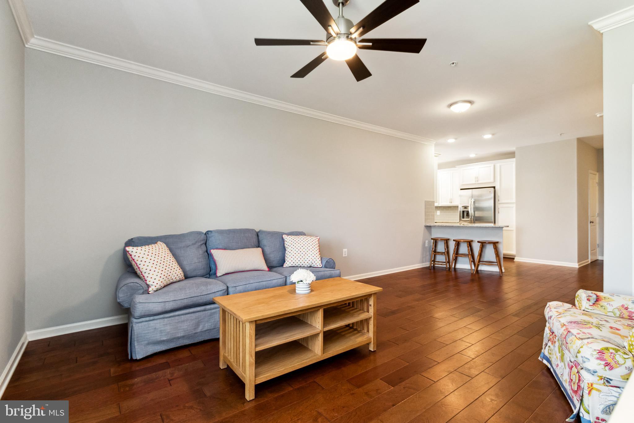 RIDGES AT LOUDOUN VALLEY - Residential