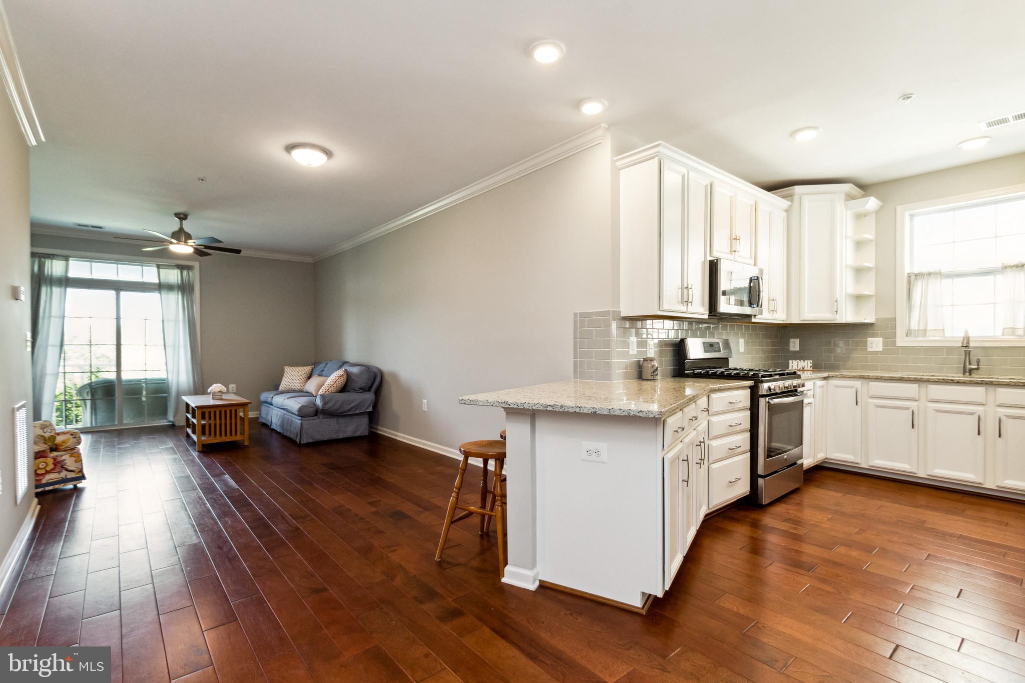 RIDGES AT LOUDOUN VALLEY - Residential