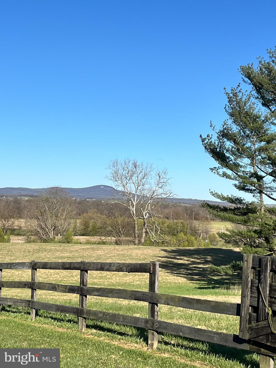 CHESTNUT HILL FARMS - Land