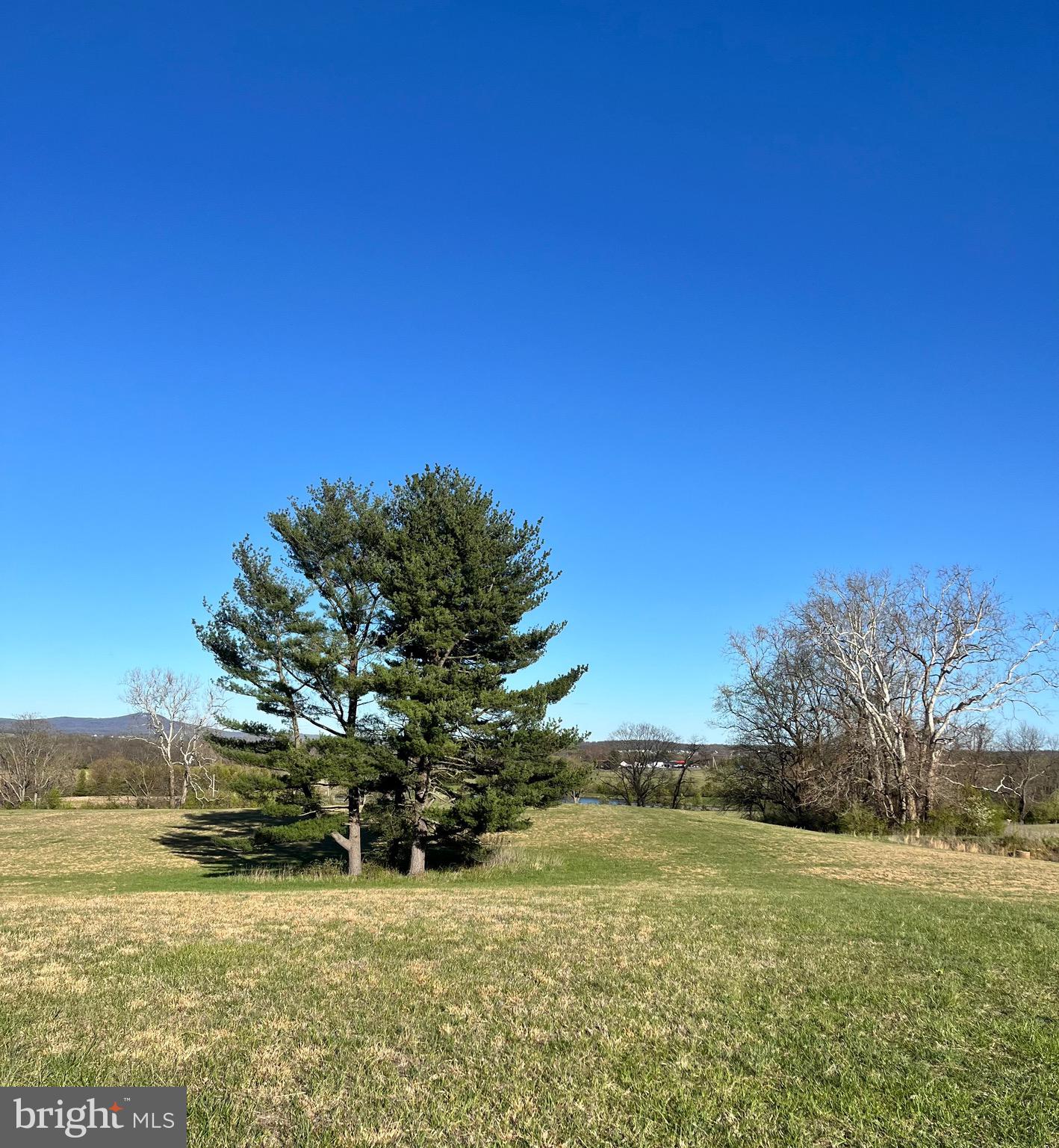 CHESTNUT HILL FARMS - Land