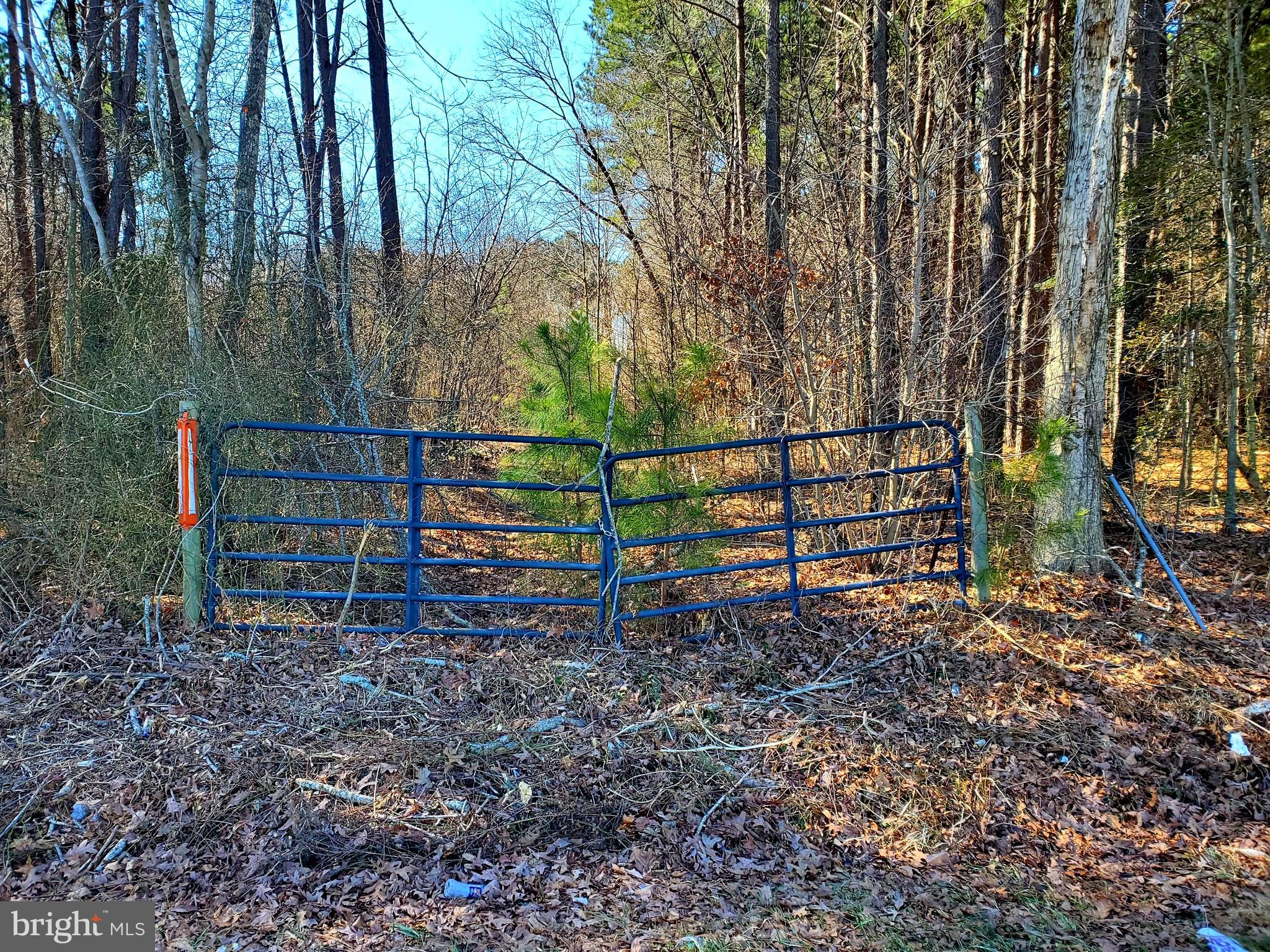 GRAVEL BRANCH ROAD