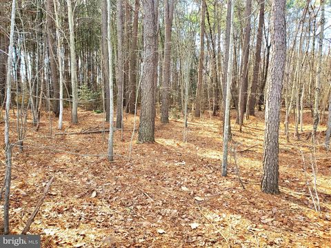 Vacant Land For Sale - Gravel Branch Road<br/> HURLOCK, MD 21643