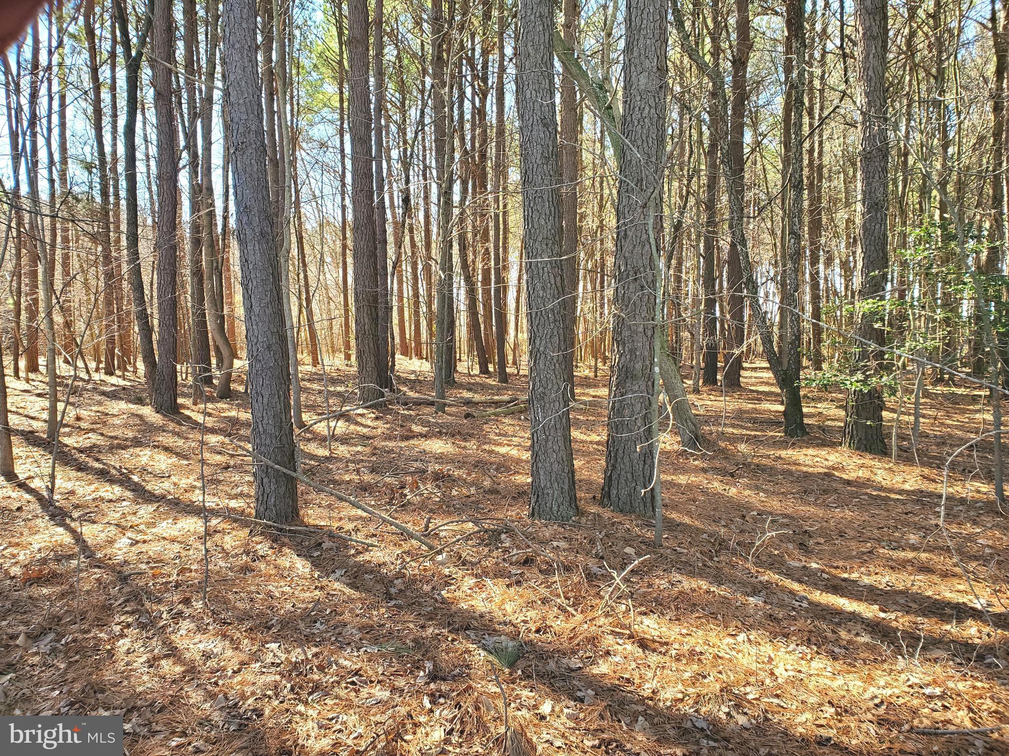 GRAVEL BRANCH ROAD