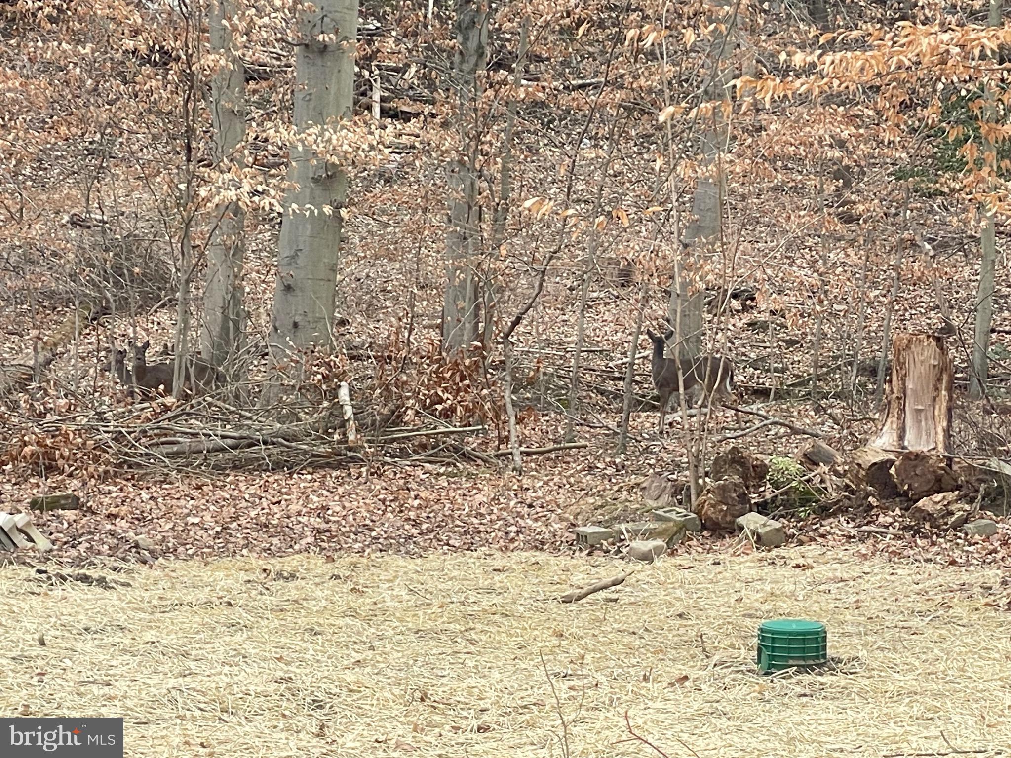 COVERED BRIDGE FARMS - Residential