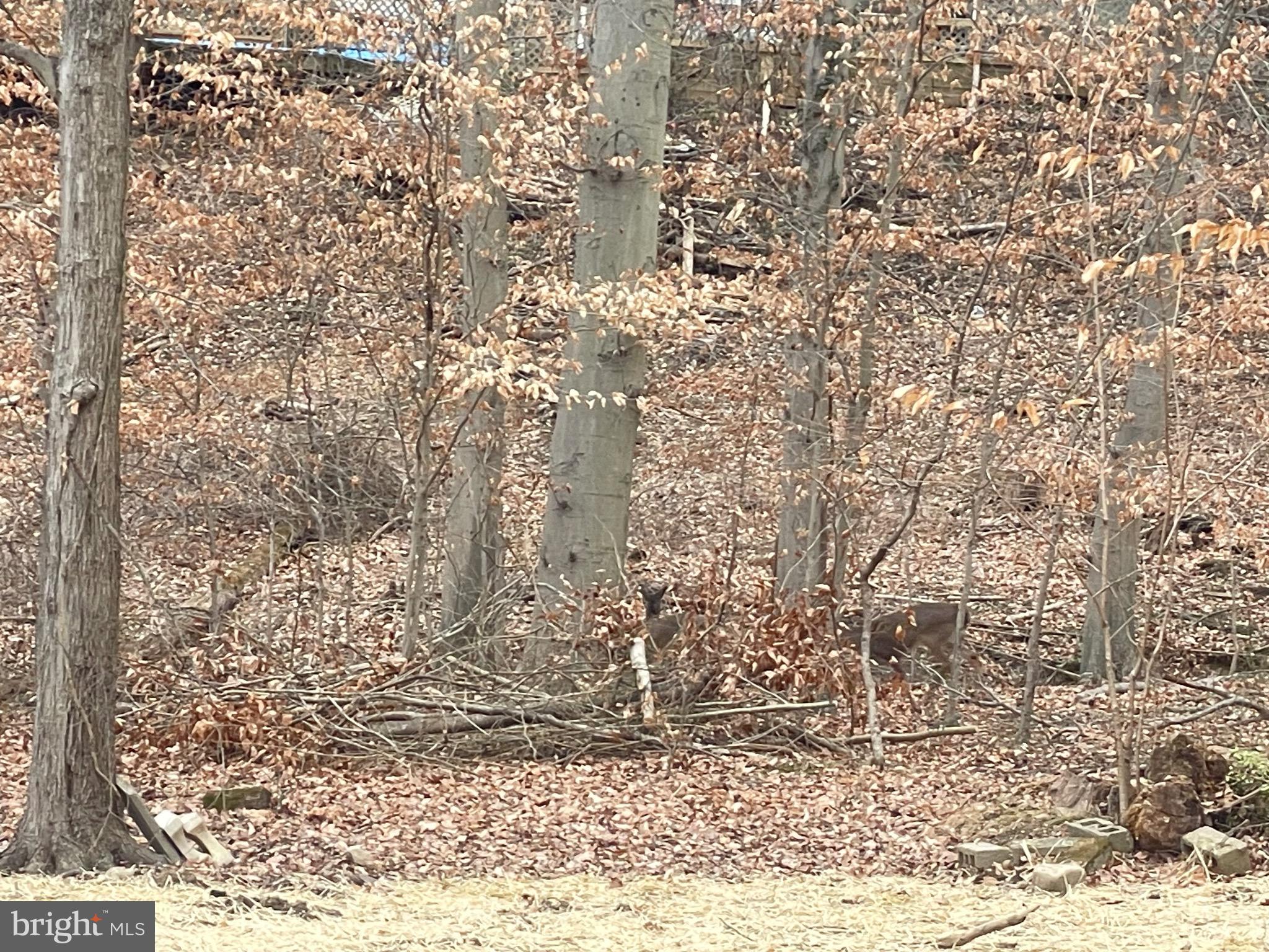 COVERED BRIDGE FARMS - Residential