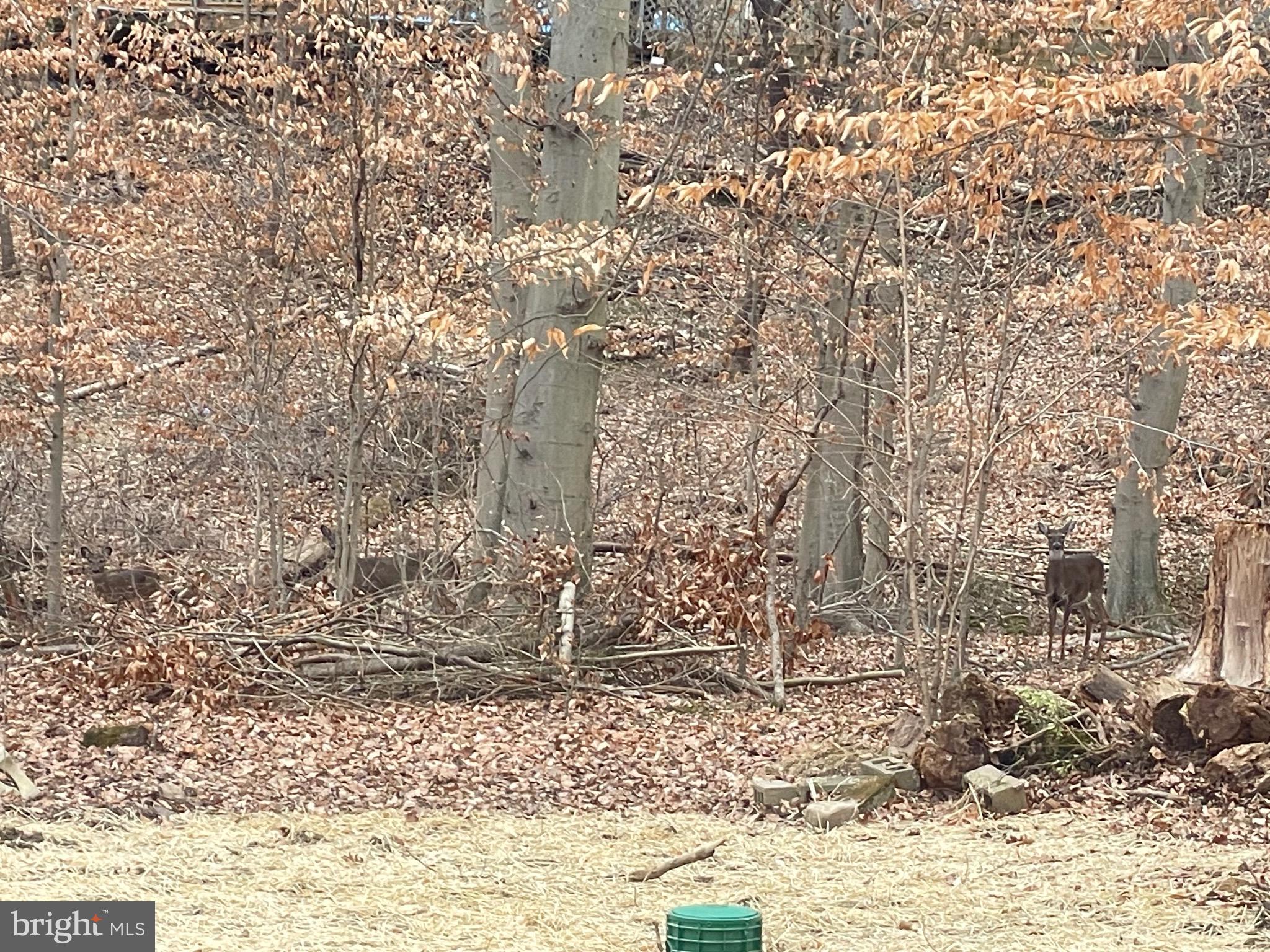 COVERED BRIDGE FARMS - Residential