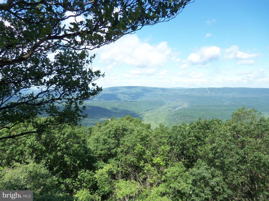 5 acre unrestricted wooded lot with the potential for great northerly views.  Camping, target practice, hunting, animals allowed, build a retreat or full time home on this lot about 12 miles to downtown Berkeley Springs.