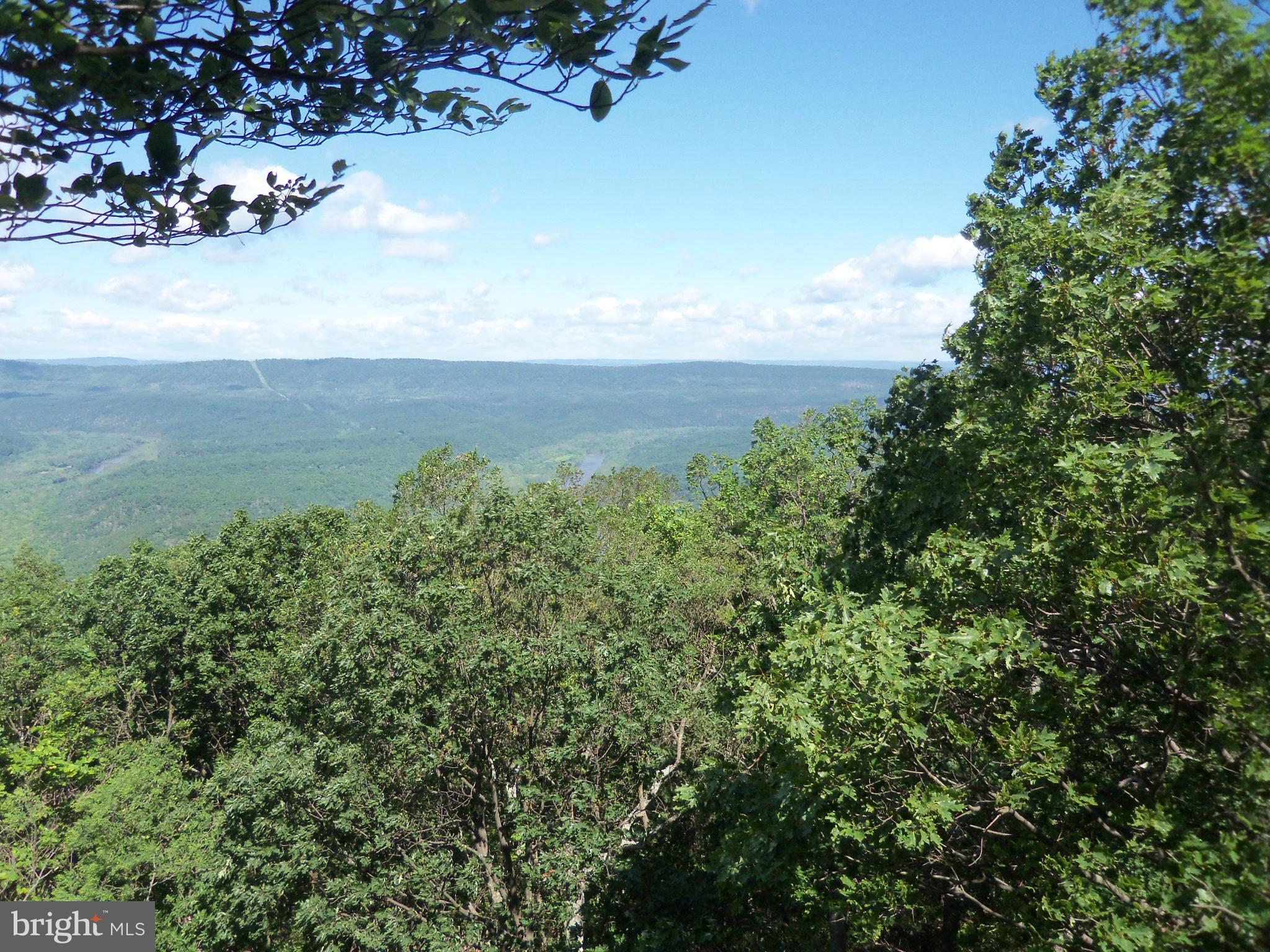 VALLEY HIGH TIMBER FARMS - Land