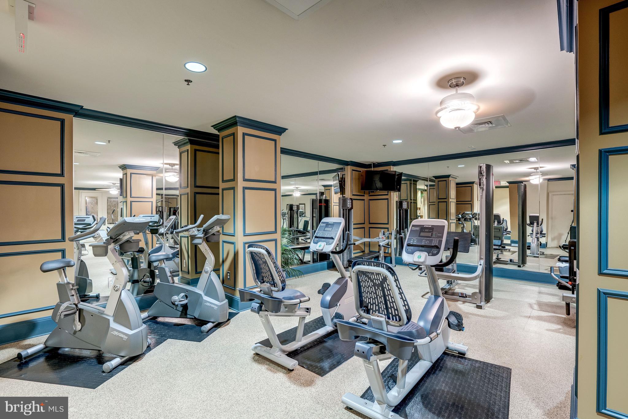 PALLADIUM AT MCLEAN - Residential