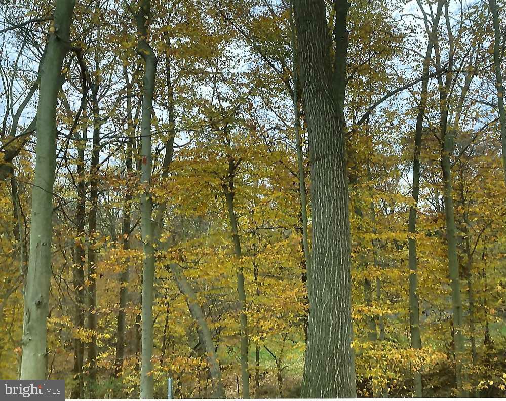 APPLETON GLEN - Residential