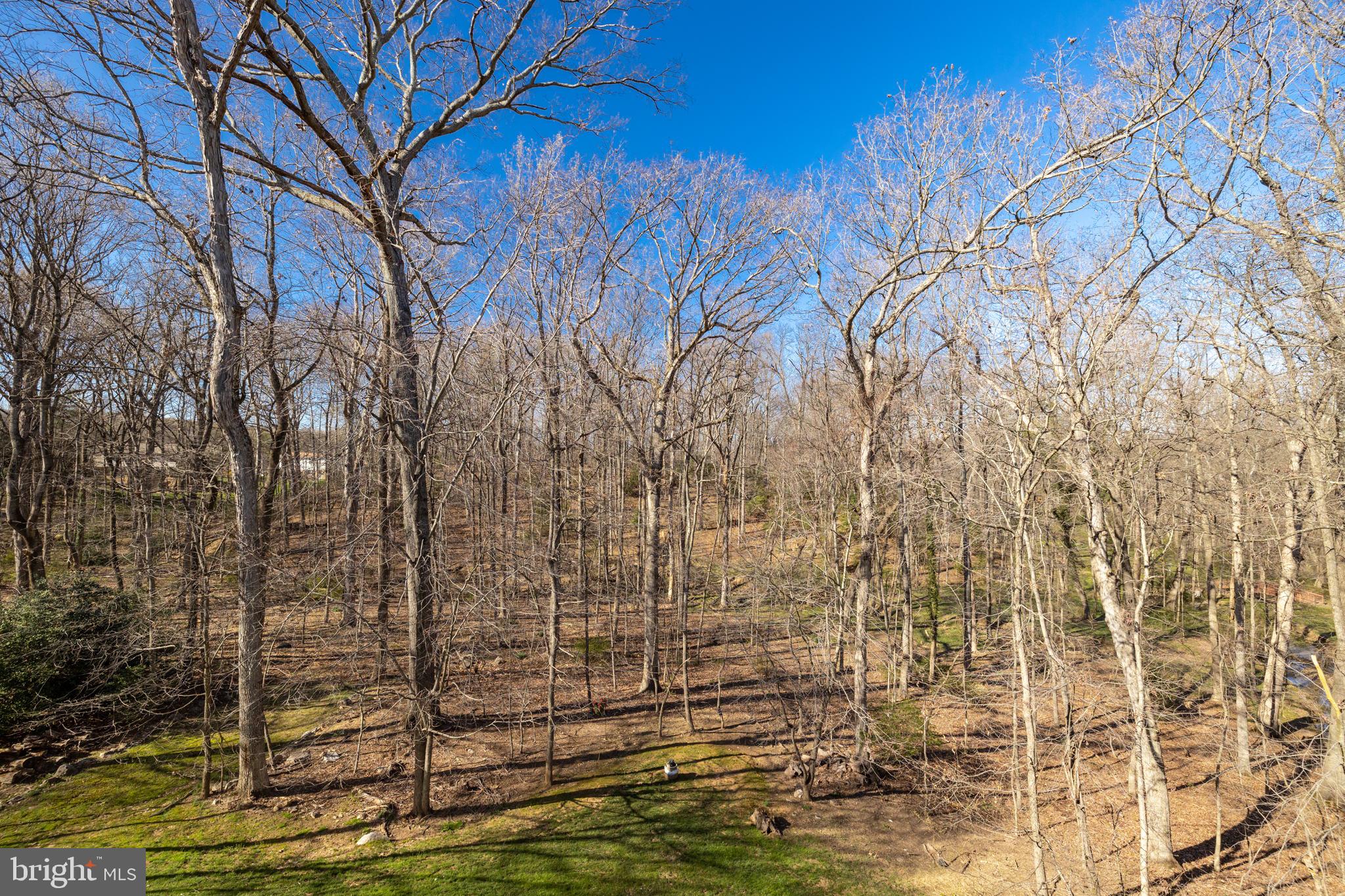 LITTLE VIENNA ESTATES - Residential