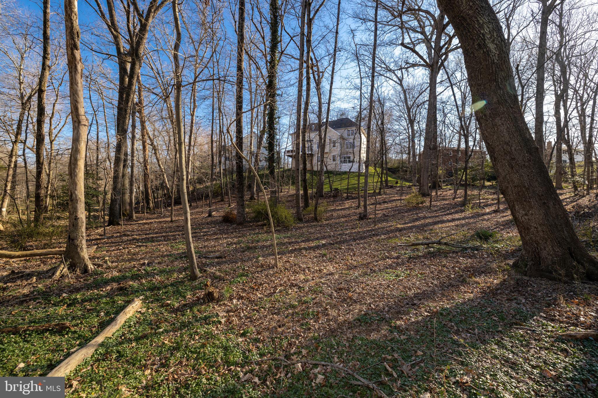 LITTLE VIENNA ESTATES - Residential