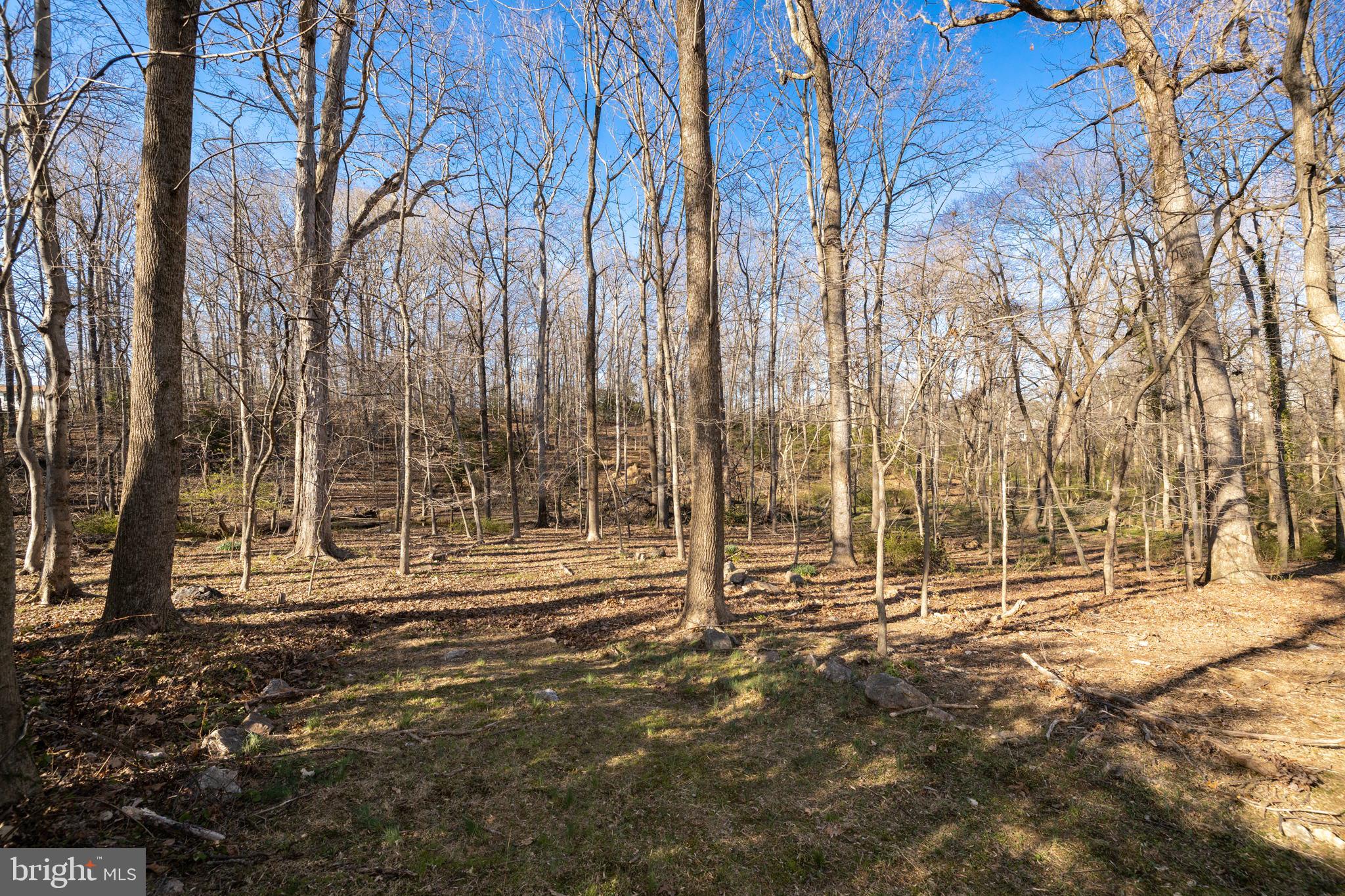 LITTLE VIENNA ESTATES - Residential