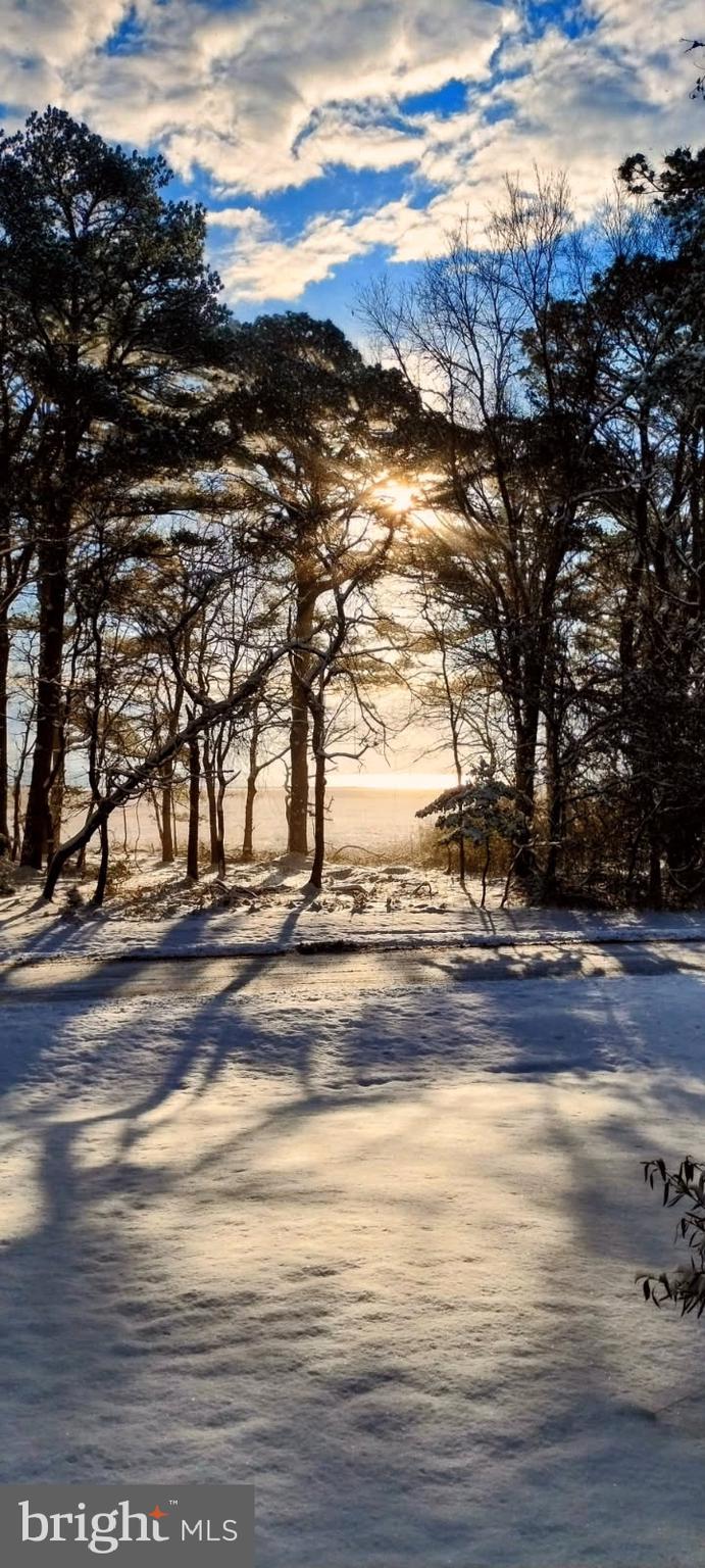 CAPTAIN'S COVE - Residential