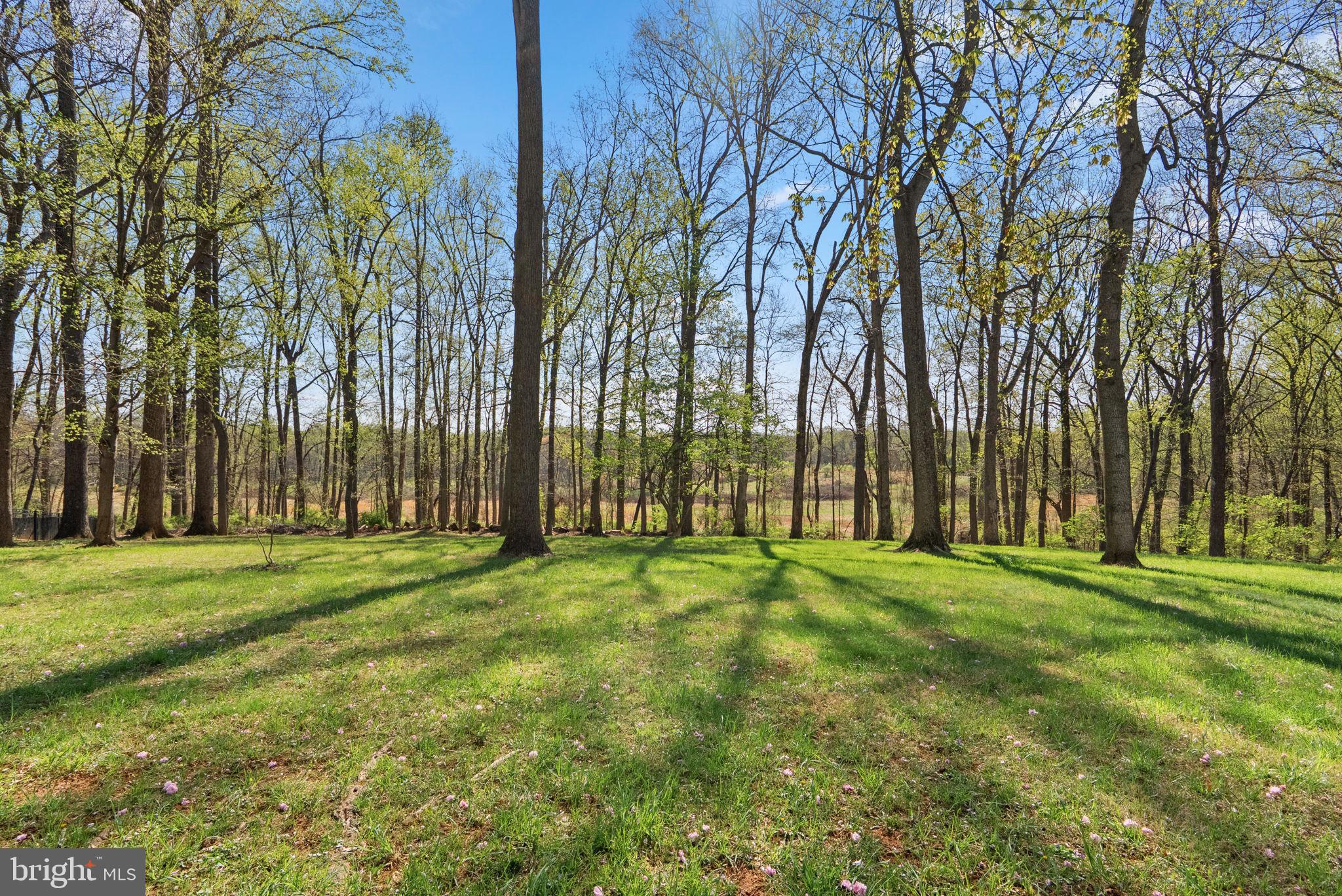 GRANBY WOODS - Residential