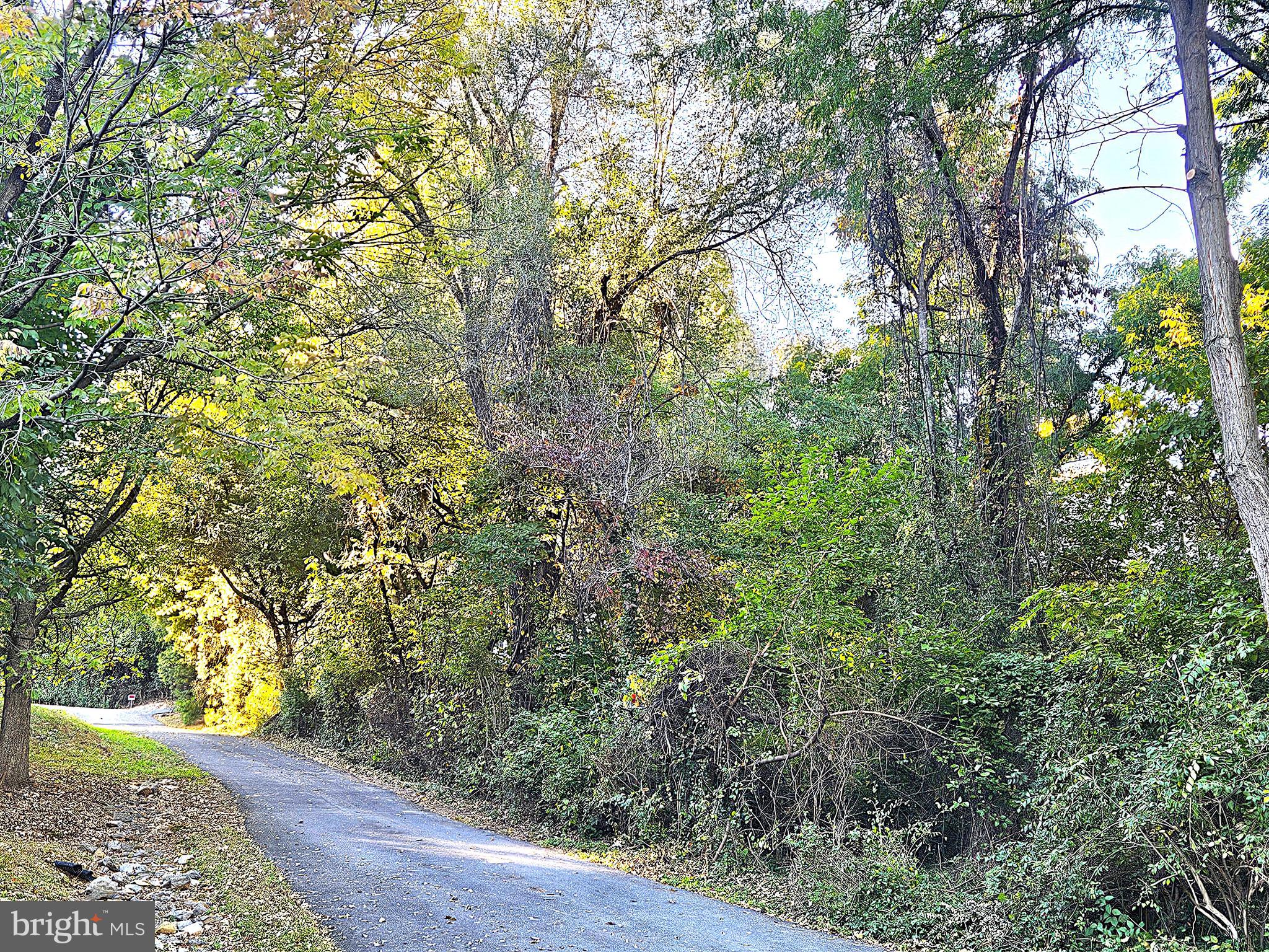 FOXRIDGE - Residential Lease