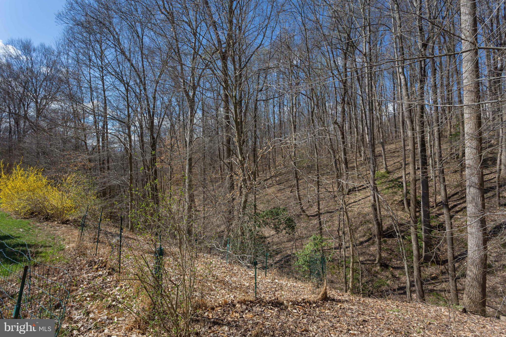 BROOKE RIDGE - Residential