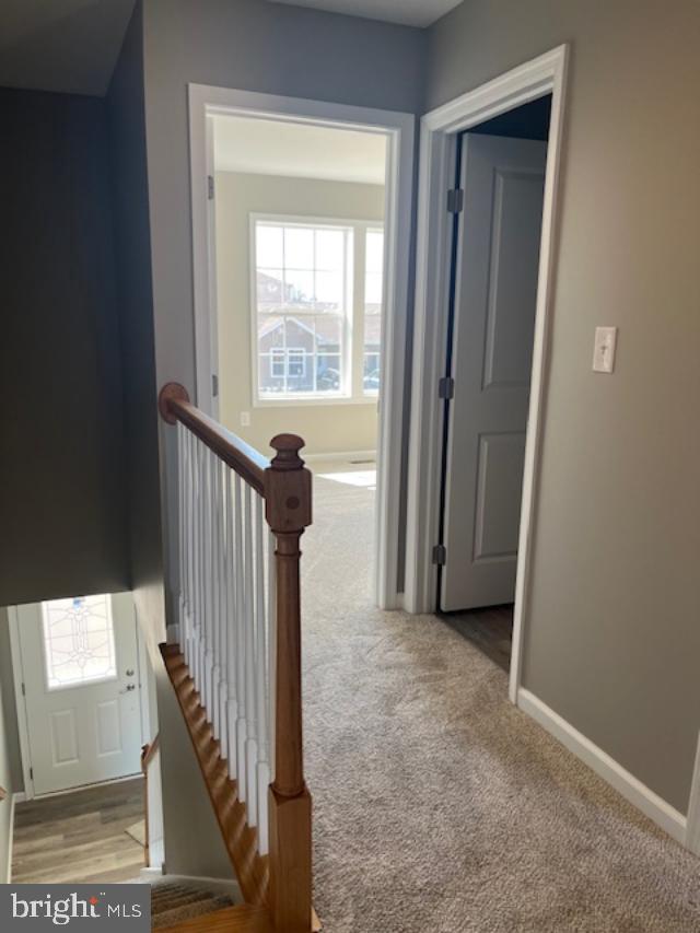 SHALAMAR GARDENS - Residential