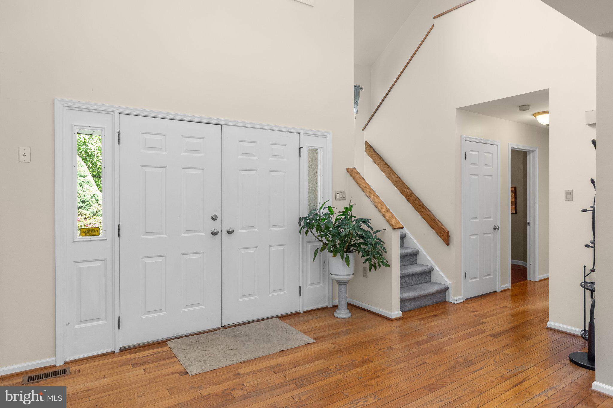 24 ROSETTE LANE