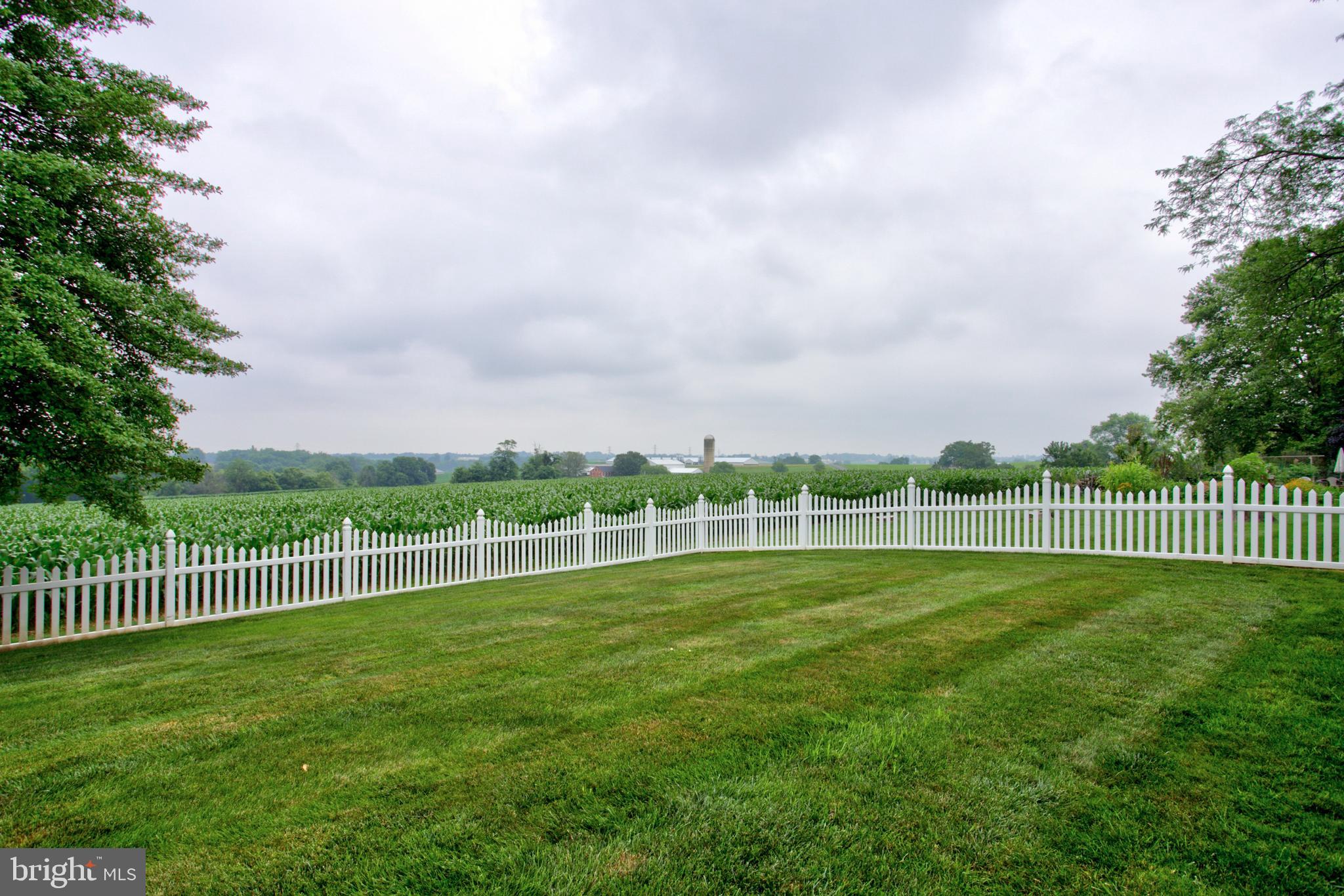 WILLOW STREET - Residential