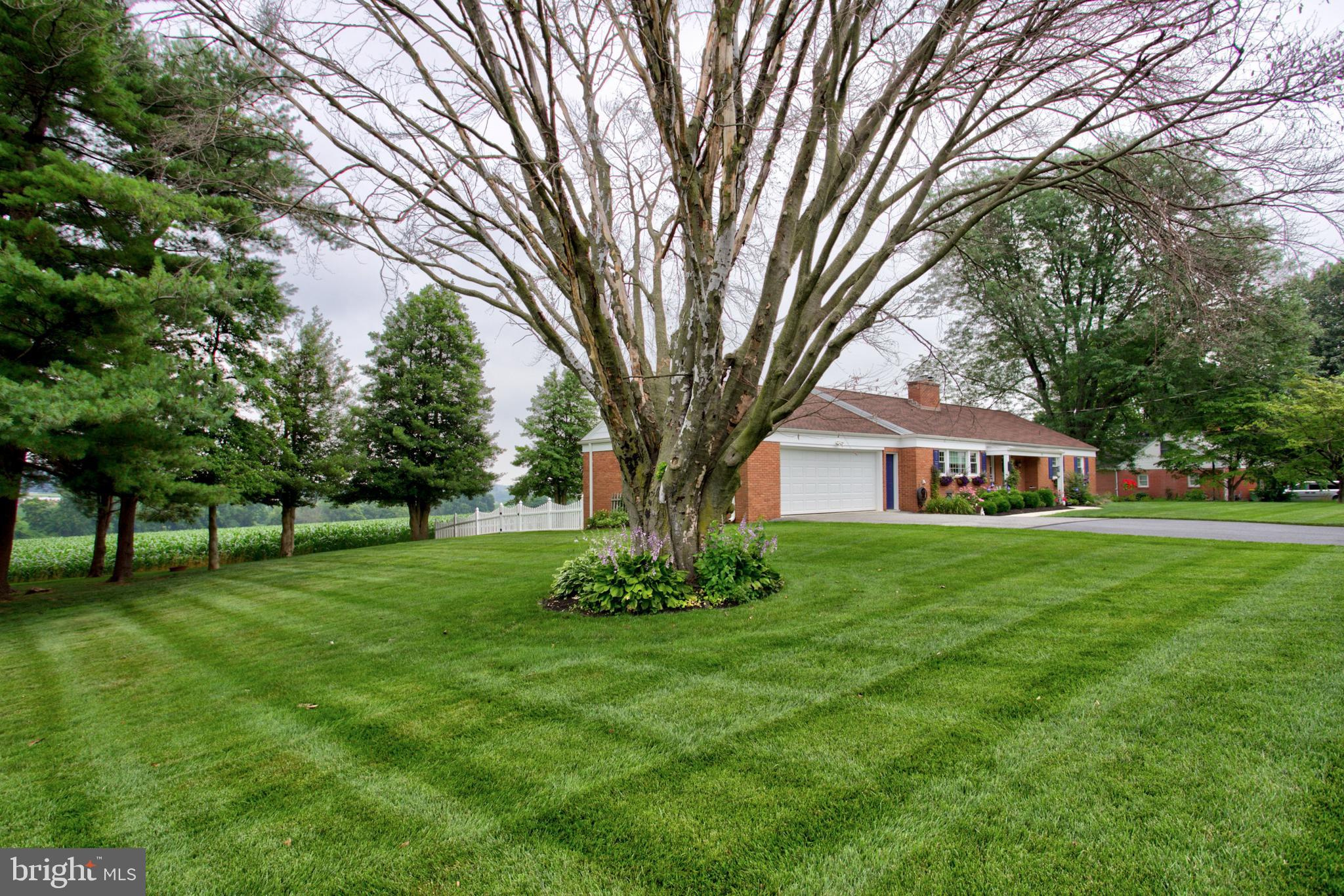 WILLOW STREET - Residential