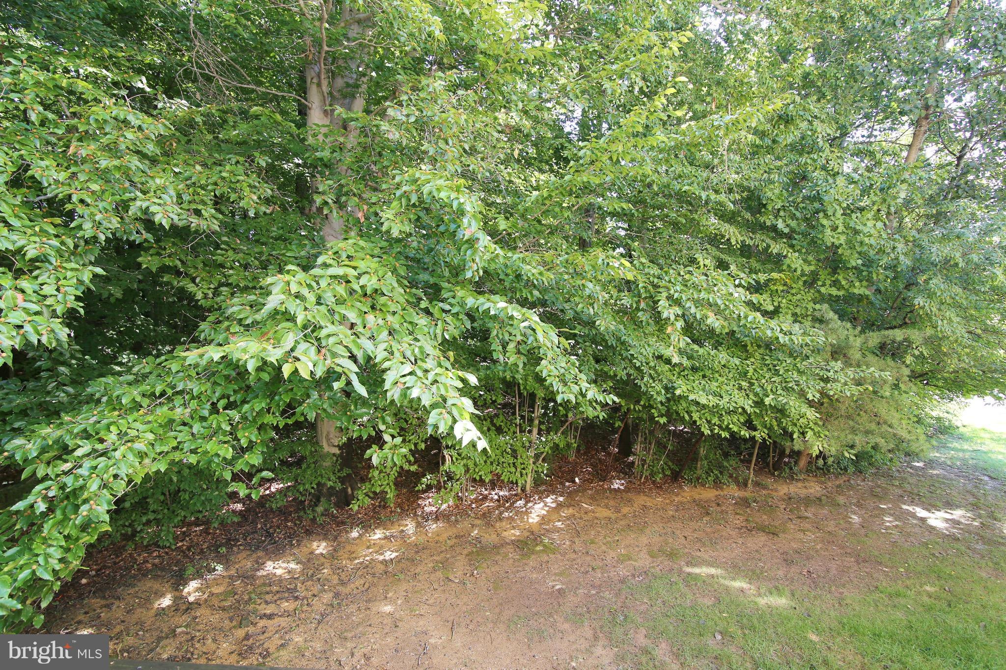 MIDDLEFORD - Residential