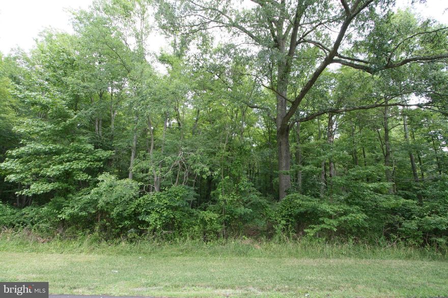 Two lots for the price of one!  Design your dream home on this beautiful wooded lot!!  Bring your own builder or use one of our recommendations!