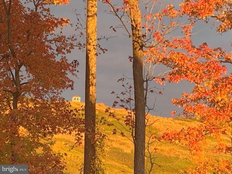 CREST OF ALEXANDRIA - Residential