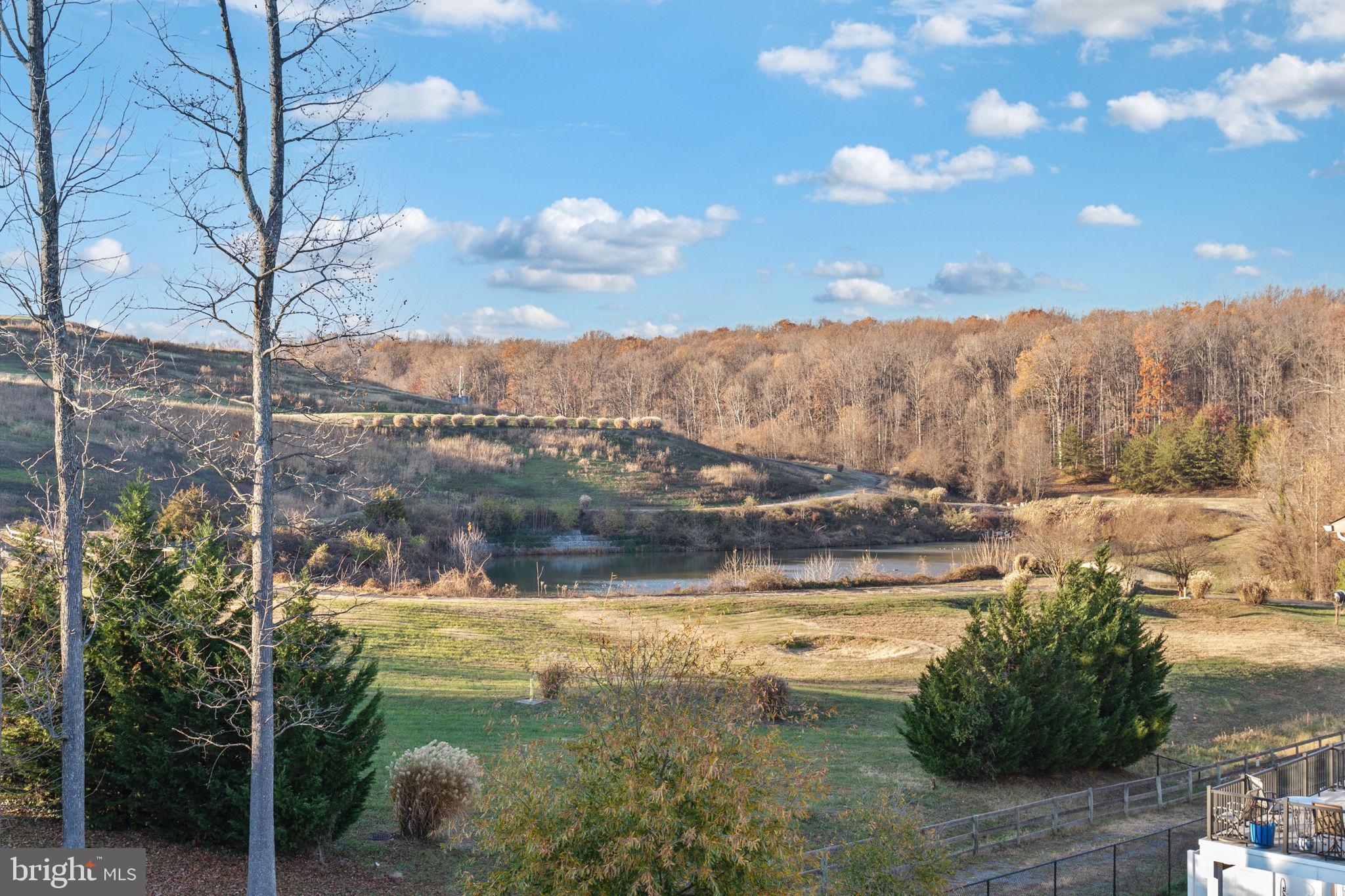 CREST OF ALEXANDRIA - Residential