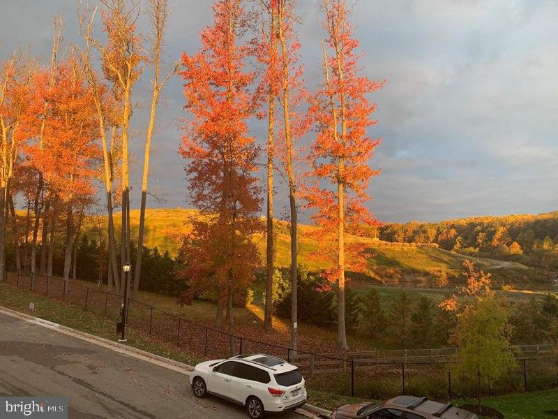 CREST OF ALEXANDRIA - Residential