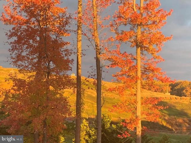 CREST OF ALEXANDRIA - Residential