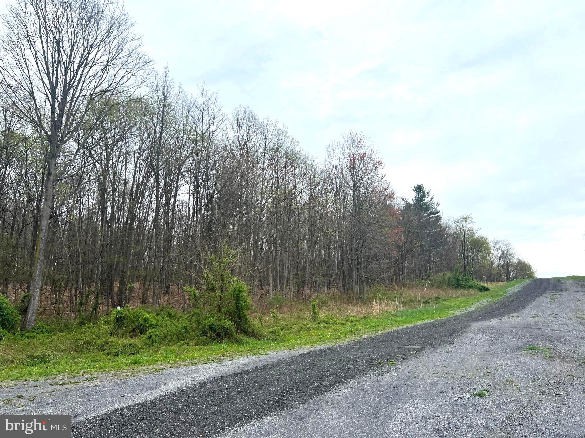 Lot # 13 RIDGE WAY DRIVE