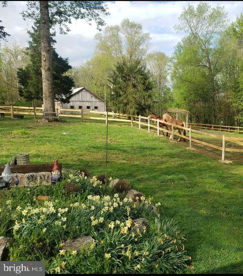 Photo of 4330 True Blue Road, CULPEPER, VA 22701 (MLS # VAOR2014256)