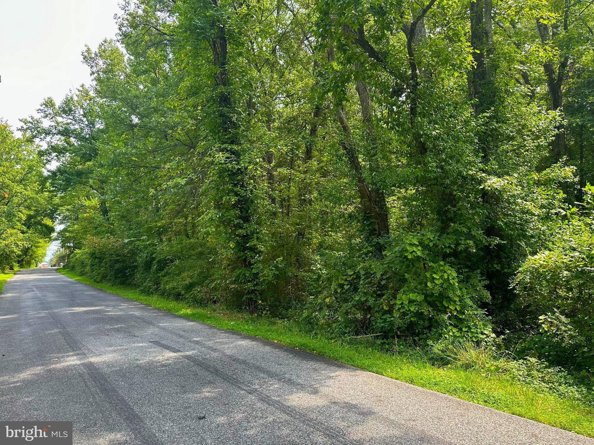 Parcel 943 BROWNS ROAD