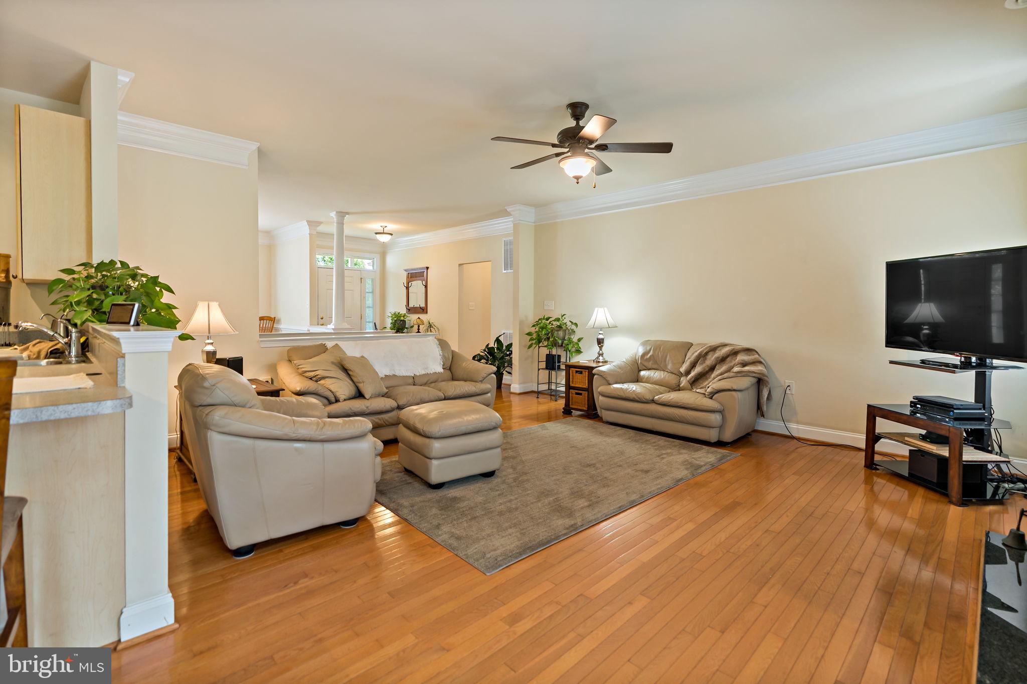 GEORGETOWN ORCHARDS - Residential