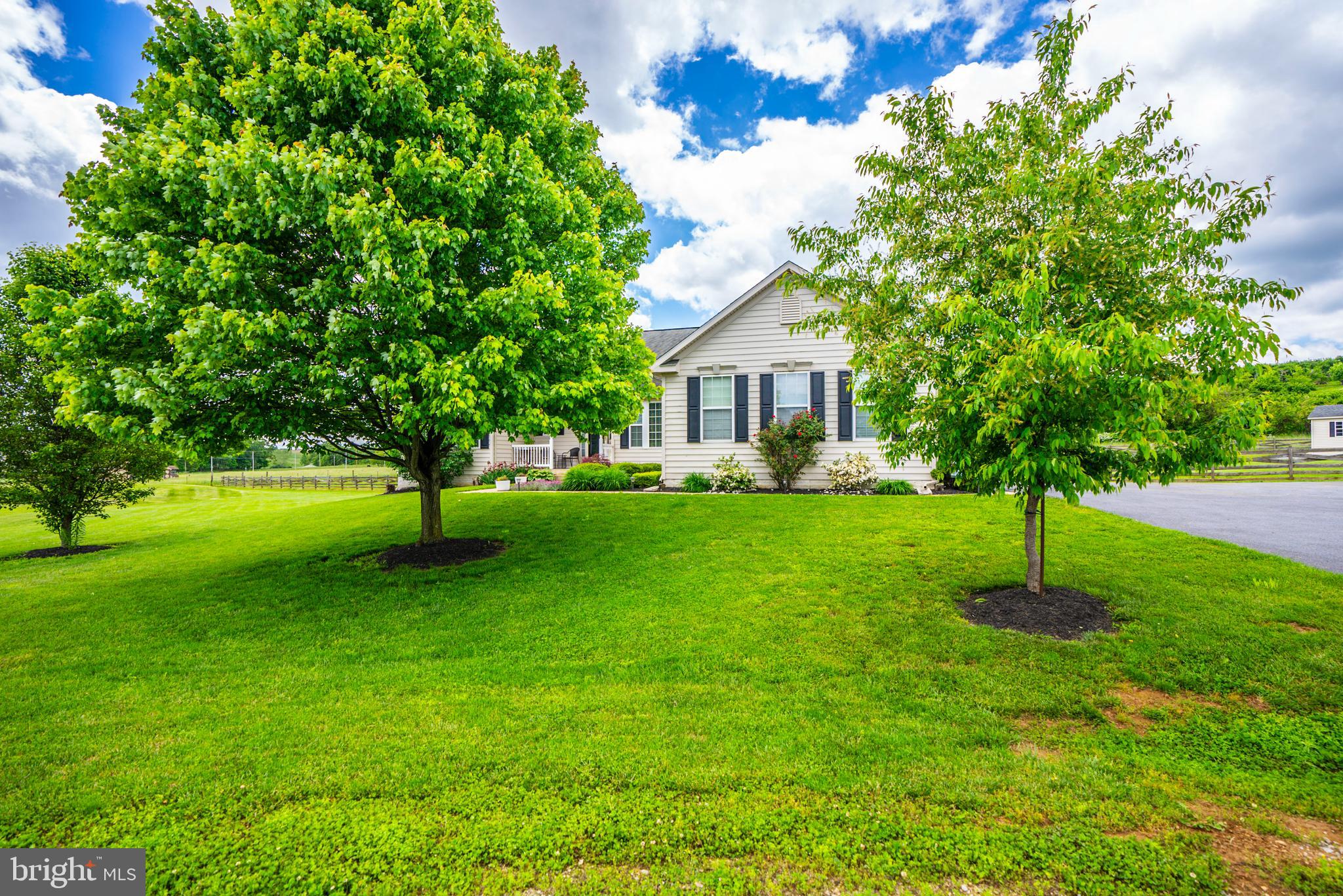 GEORGETOWN ORCHARDS - Residential