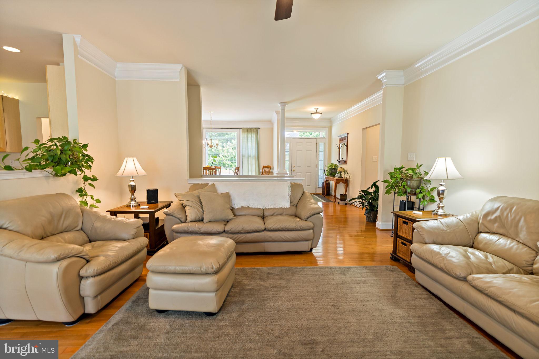 GEORGETOWN ORCHARDS - Residential