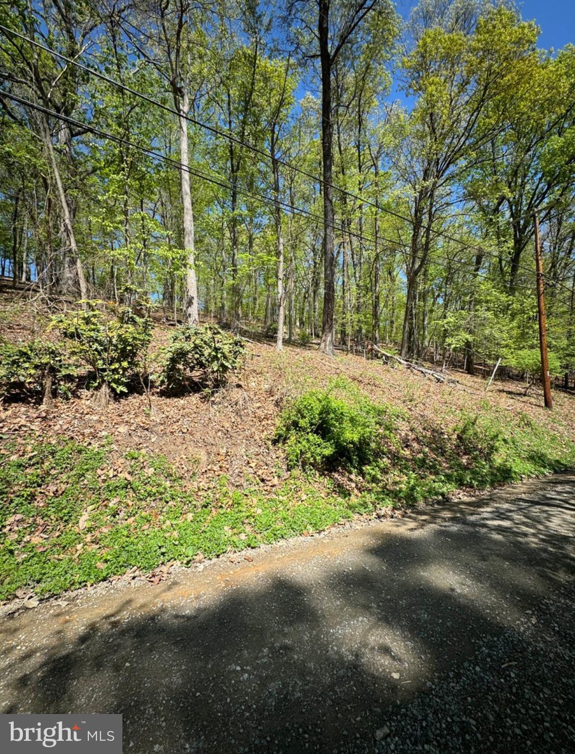 TIMBER LN