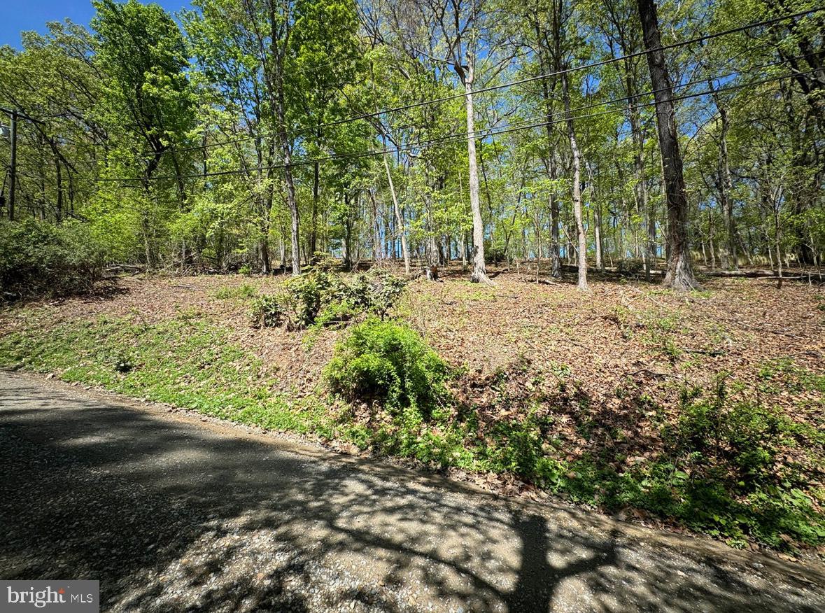 TIMBER LN