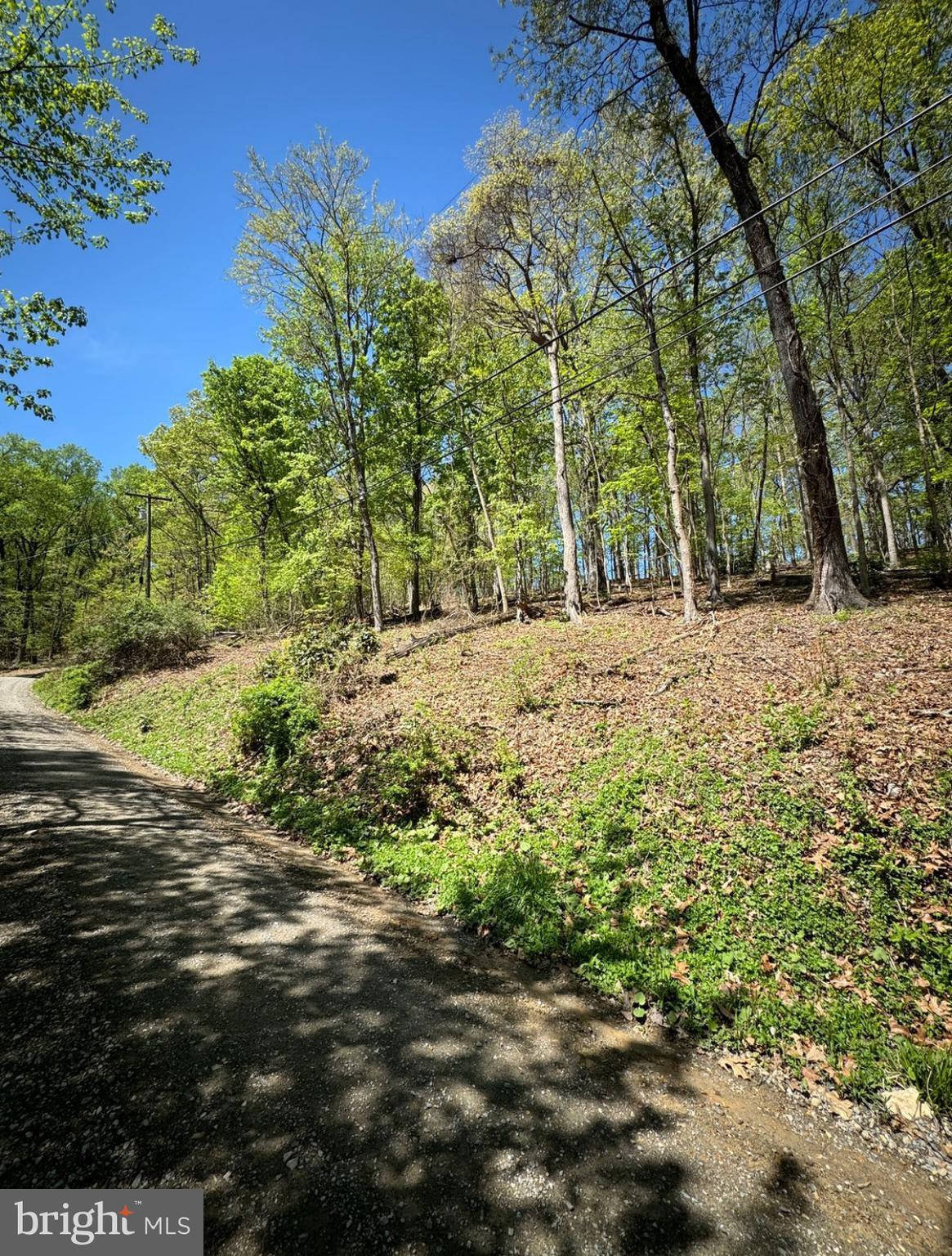 TIMBER LN