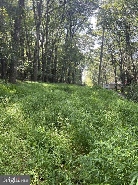 Vacant Land For Sale - Santa Fe Trail<br/> OAKLAND, MD 21550