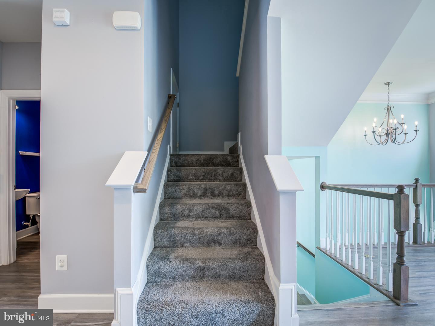 HAMILTON PARK - Residential