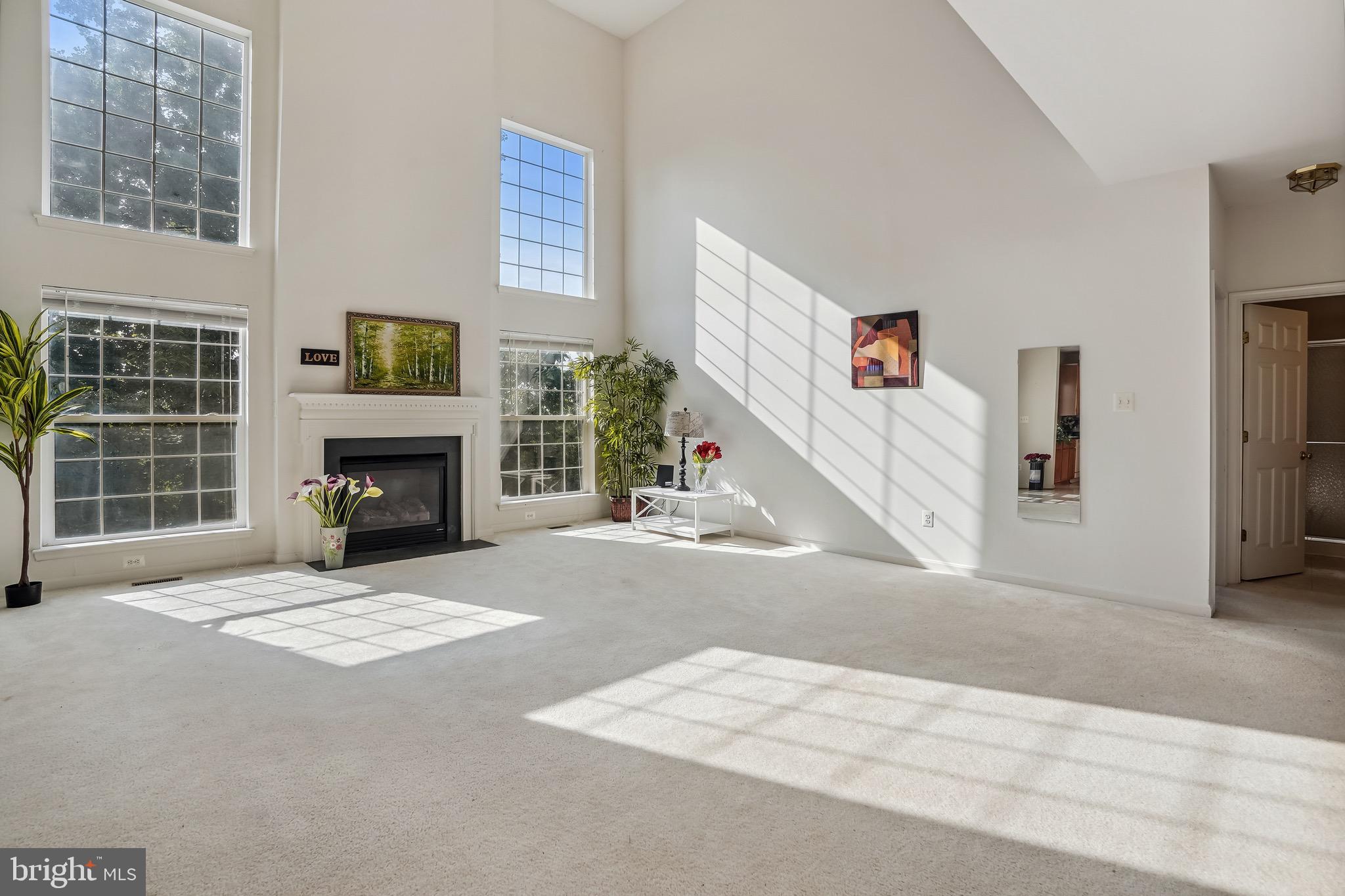 LANIER FARMS - Residential