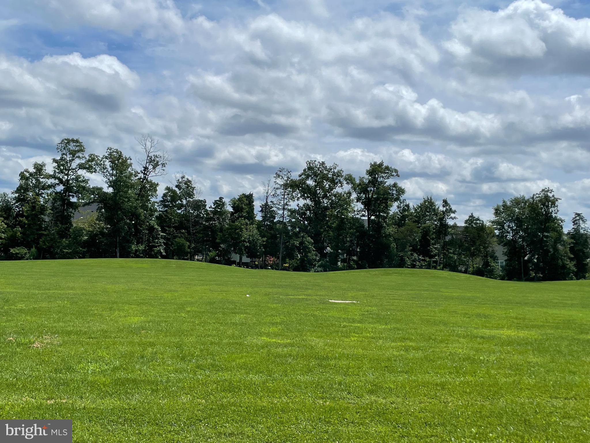 LANIER FARMS - Residential