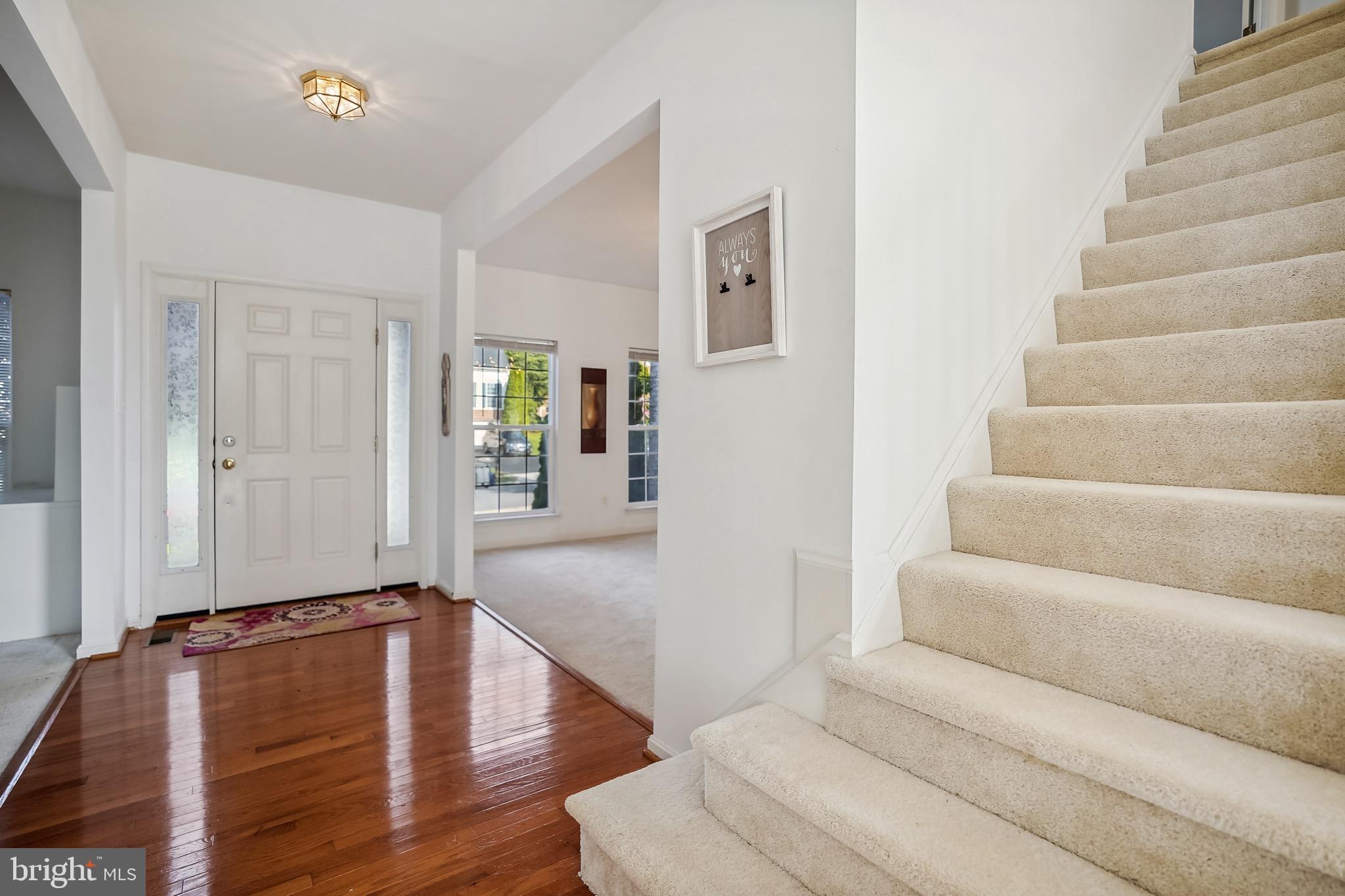 LANIER FARMS - Residential