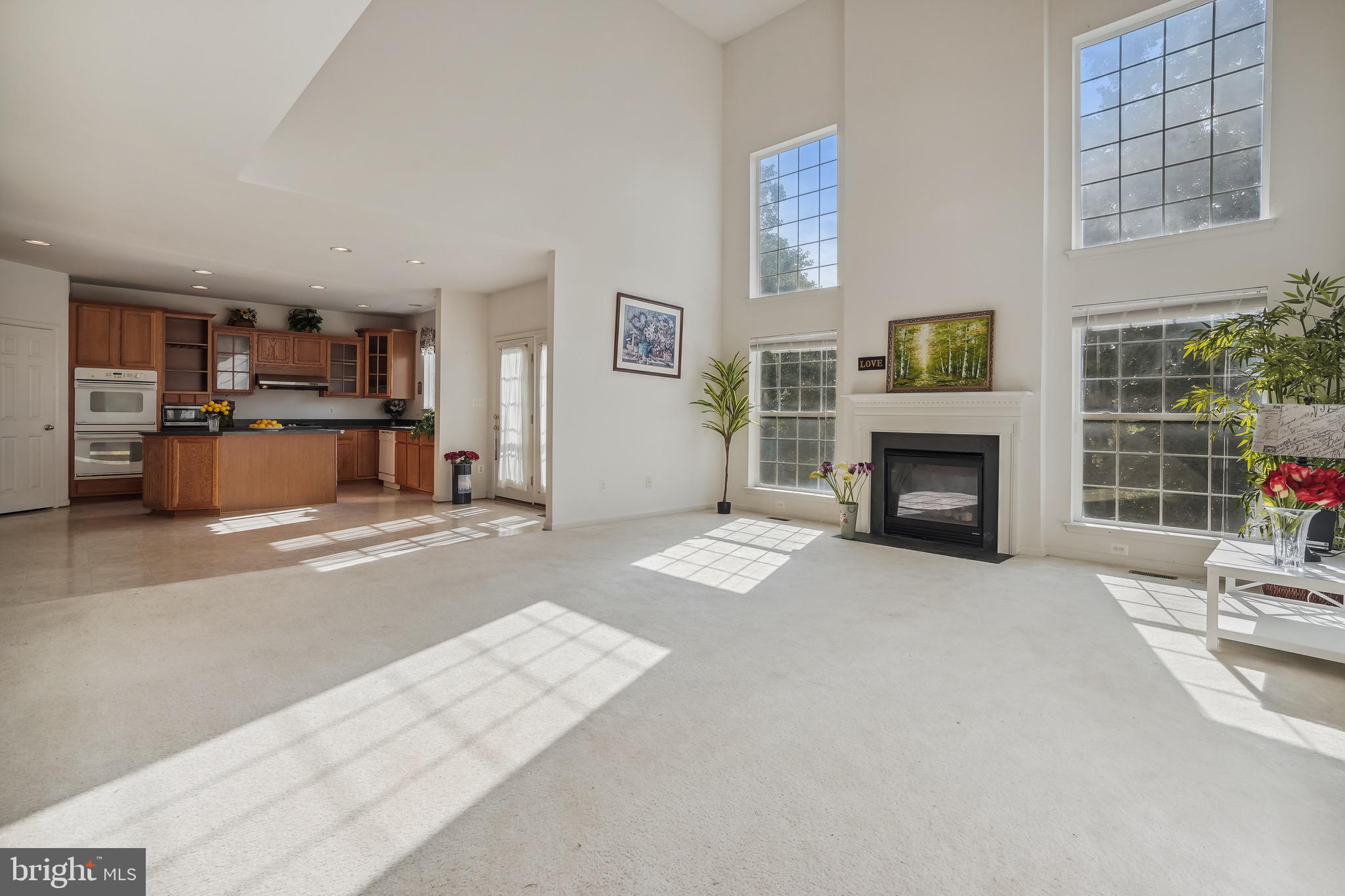 LANIER FARMS - Residential