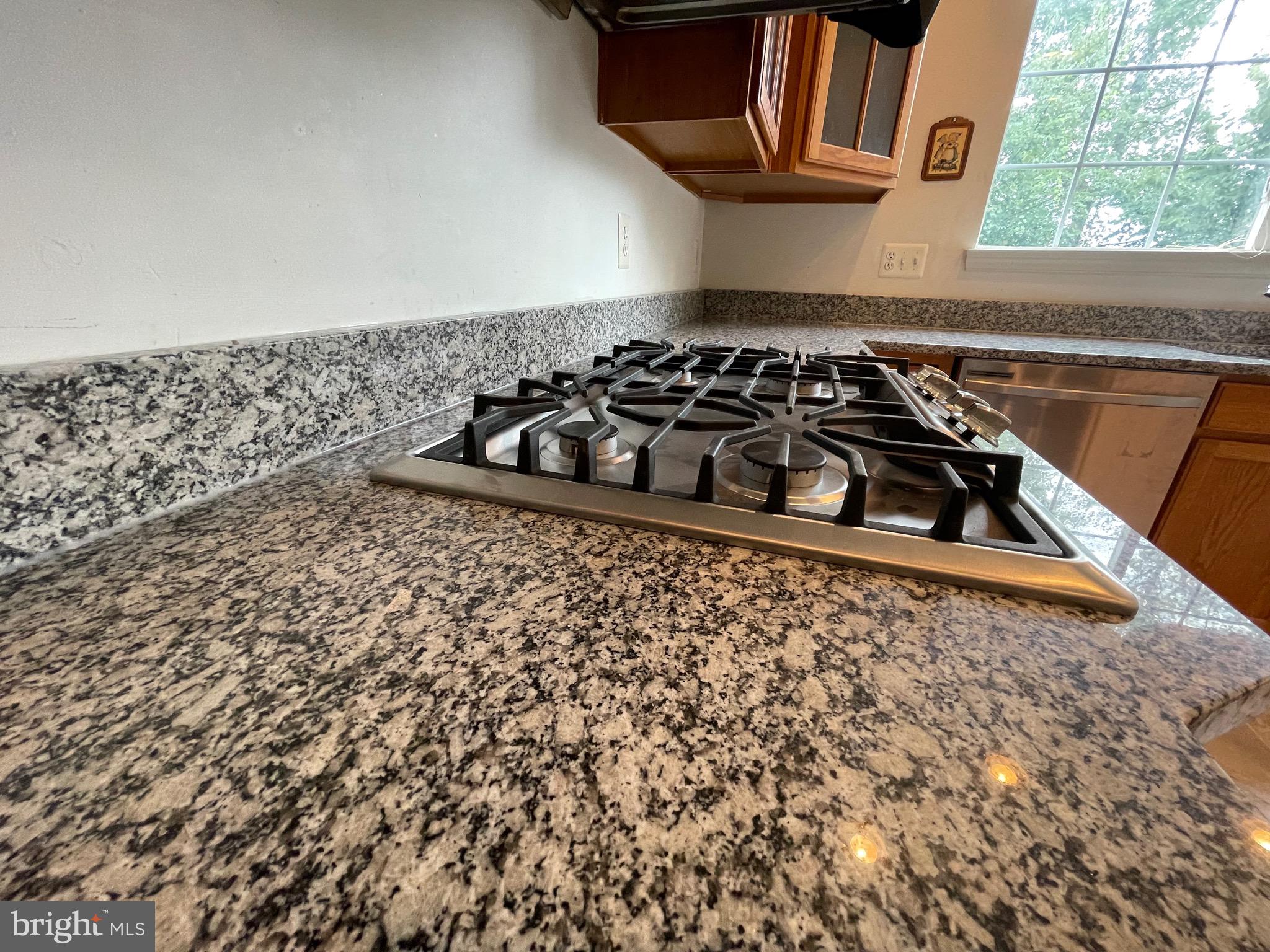 LANIER FARMS - Residential